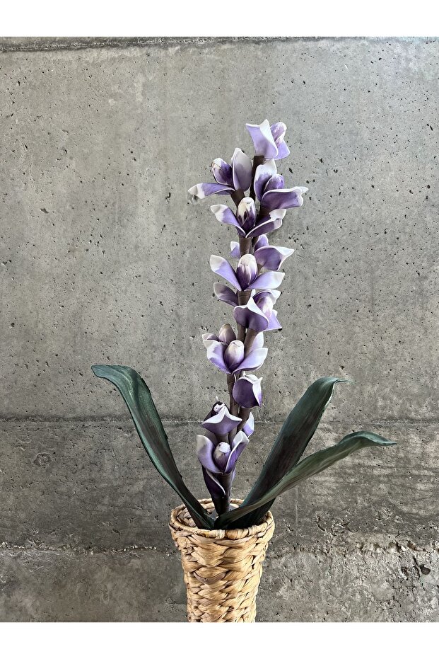 Mor Tenit Çiçeği - 1