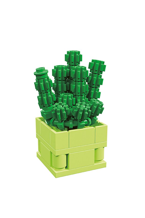 Series Block Succulent - 7