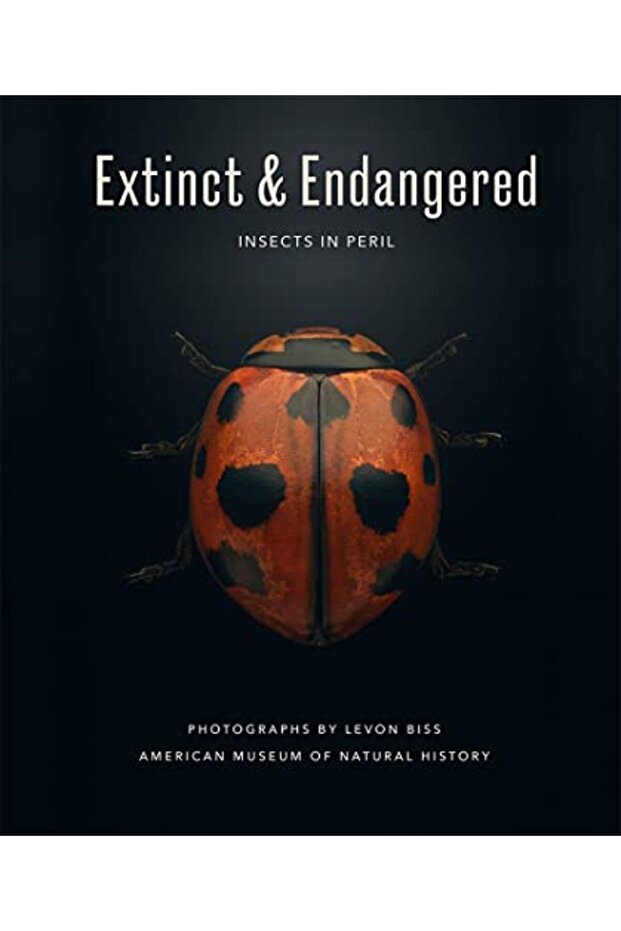 Extinct & Endangered Insects In Peril - 1
