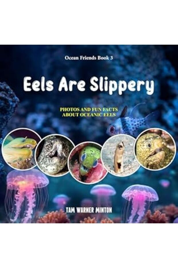 Eels Are Slippery Photos And Fun Facts About Oceanic Eels