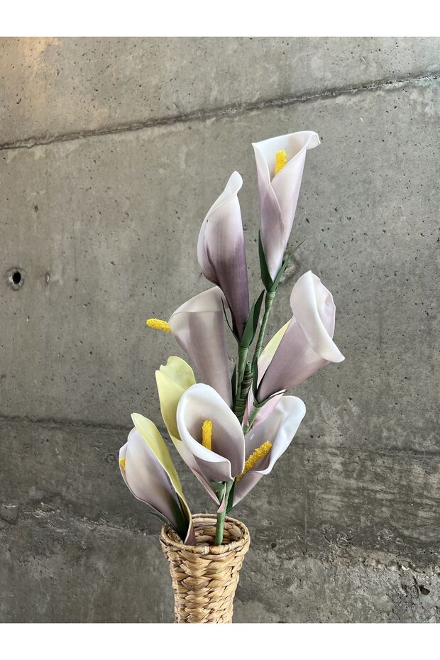 Mor Barış Çiçeği - 3