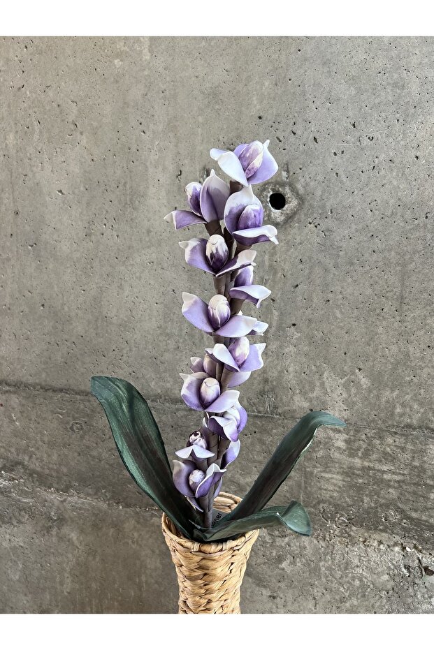 Mor Tenit Çiçeği - 4