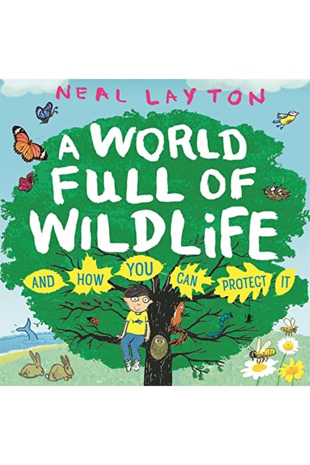 Eco Explorers A World Full Of Wildlife And How You Can Protect It