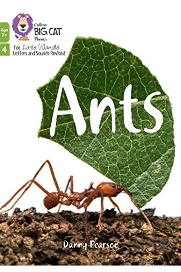 Ants - 1