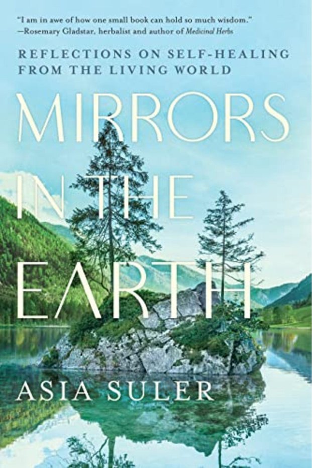 Mirrors In The Earth Reflections On Selfhealing From The Living World