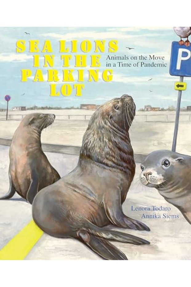 Sea Lions In The Parking Lot Animals On The Move In A Time Of Pandemic