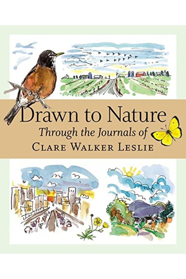Drawn To Nature