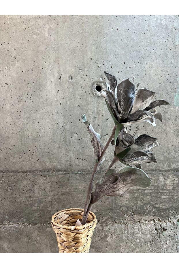 Gri Nane Çiçeği - 1