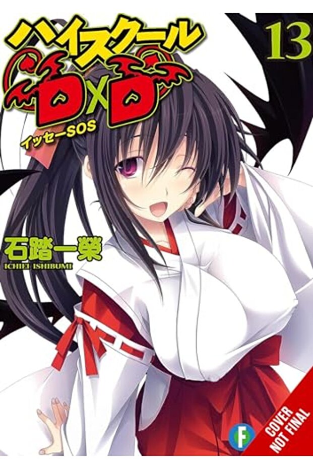 High School Dxd Vol 13 Light Novel