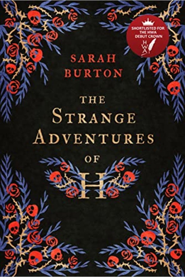 The Strange Adventures Of H The Enchanting Ragstoriches Story Set During The Great Plague Of Lond