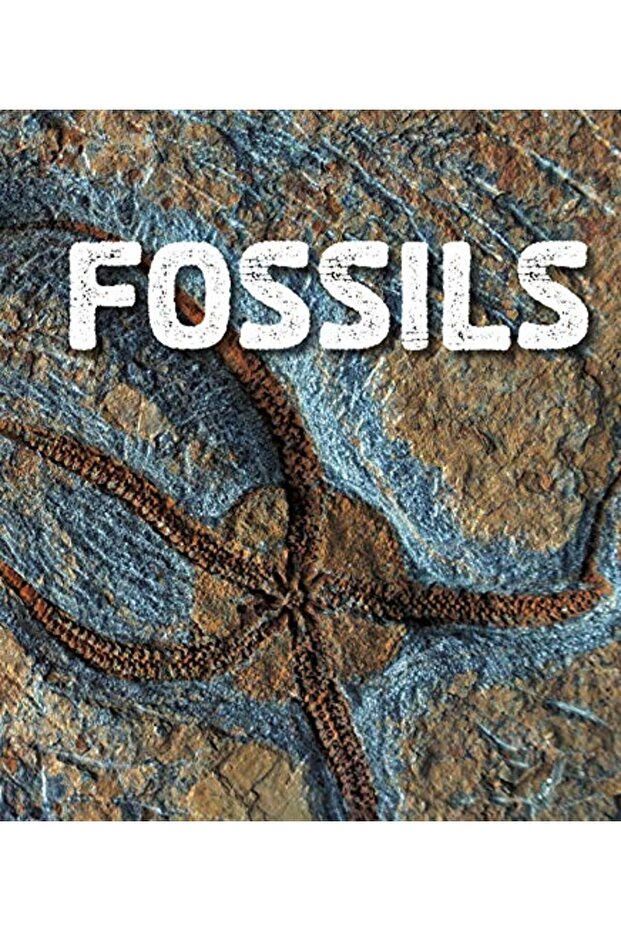 Fossils