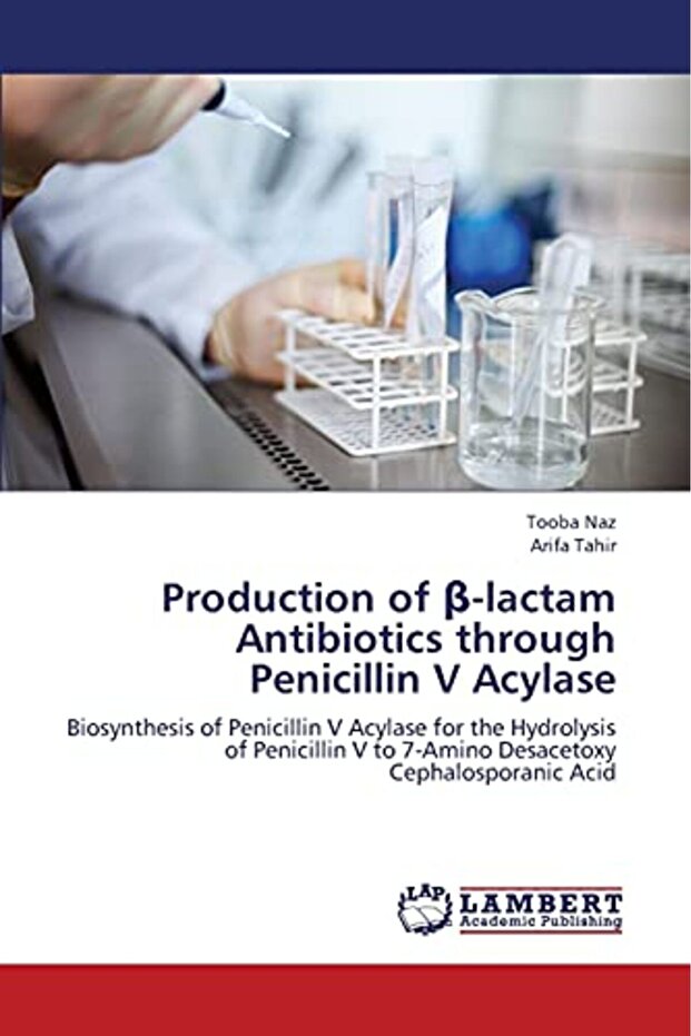 Production Of Lactam Antibiotics Through Penicillin V Acylase