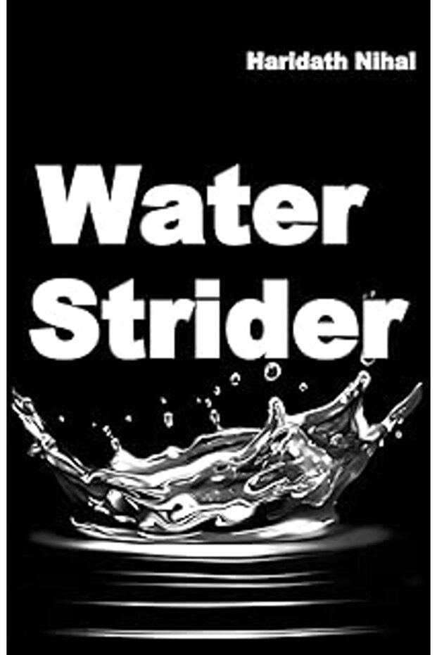 Water Strider - 1