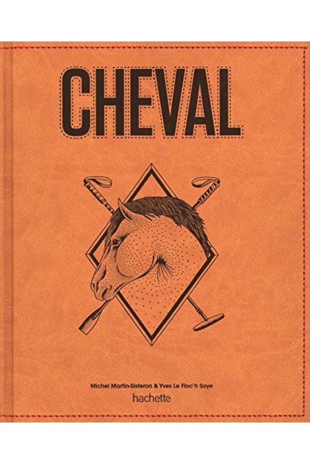 Grand Livre Hachette Du Cheval