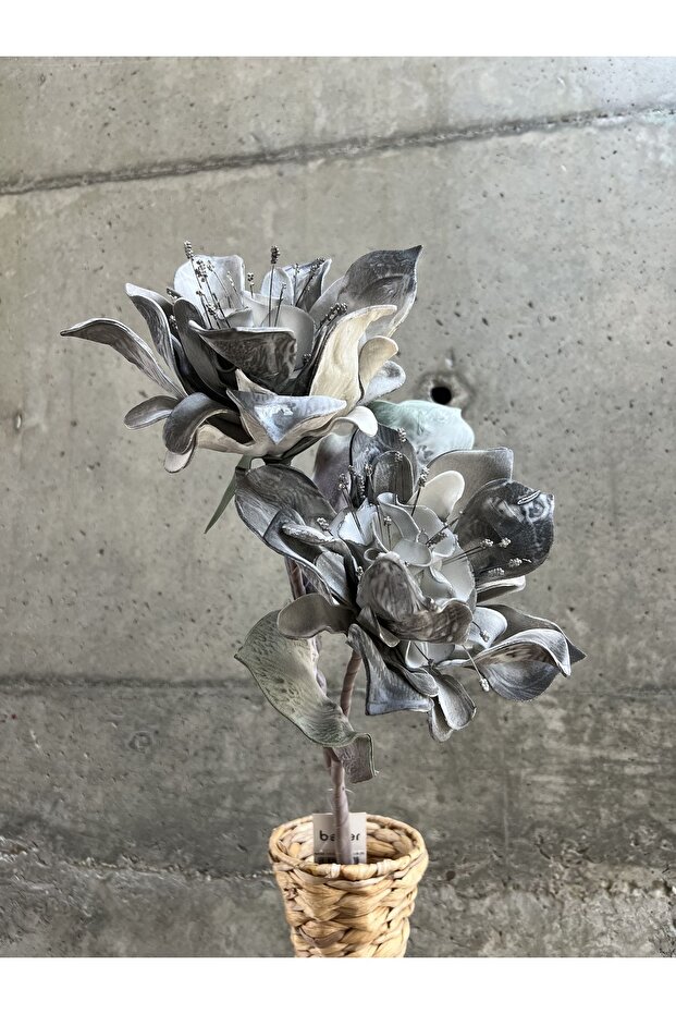 Gri Nane Çiçeği - 3