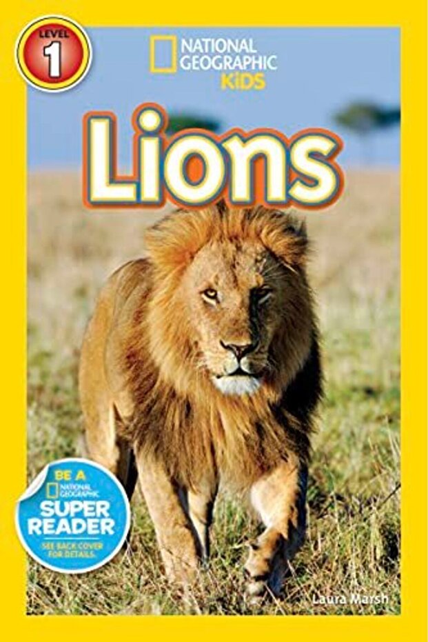 Lions - 1