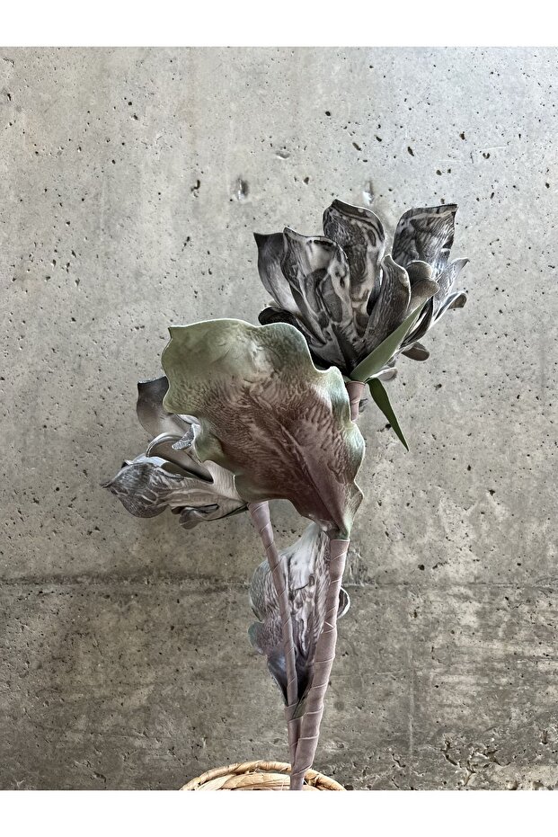 Gri Nane Çiçeği - 5