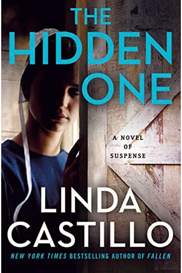 The Hidden One A Novel Of Suspense