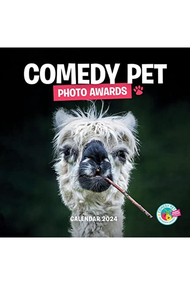 Comedy Pet Photography Awards Pfp W