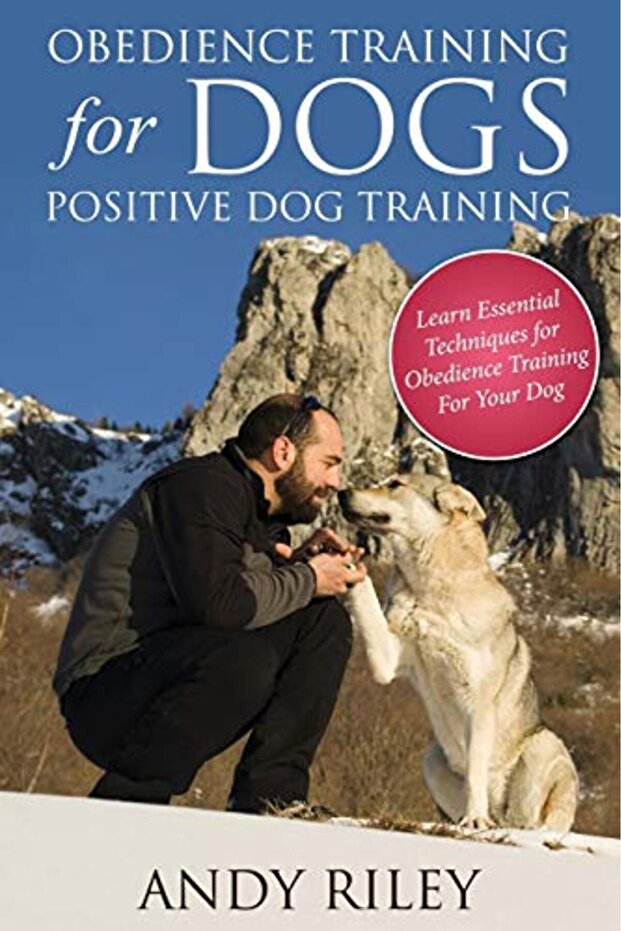 Obedience Training For Dogs Positive Dog Training