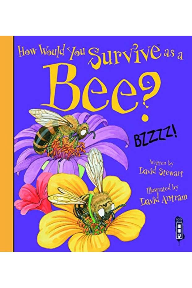 How Would You Survive As A Bee