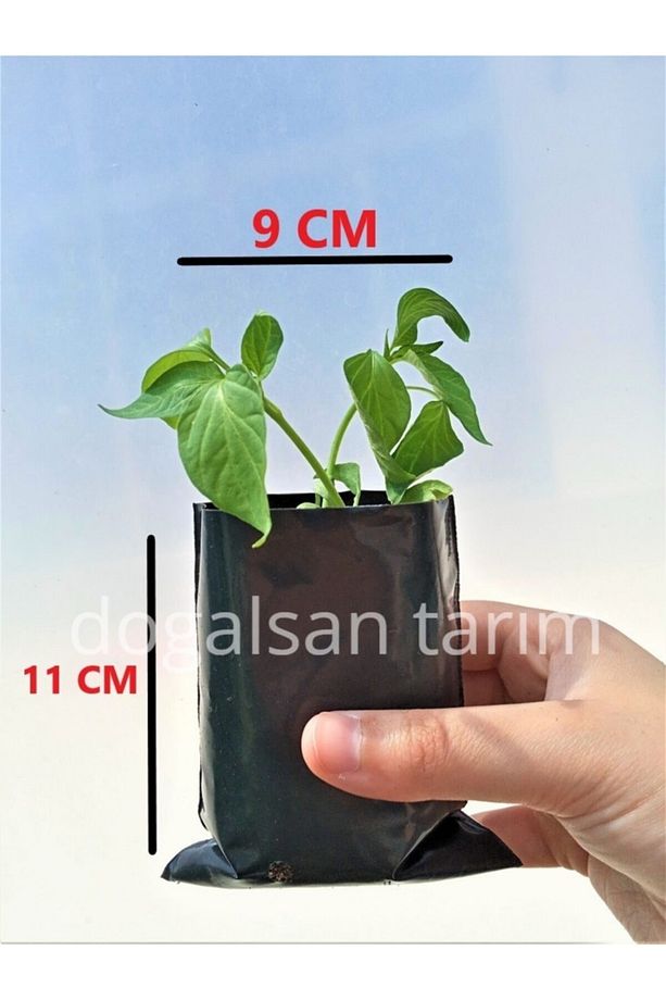 Fidan Poşeti 9x11 Cm 10 Adet Körüksüz Fide Poşeti Fide Torbası Fidan Körüksüz Fidan Torbası - 1