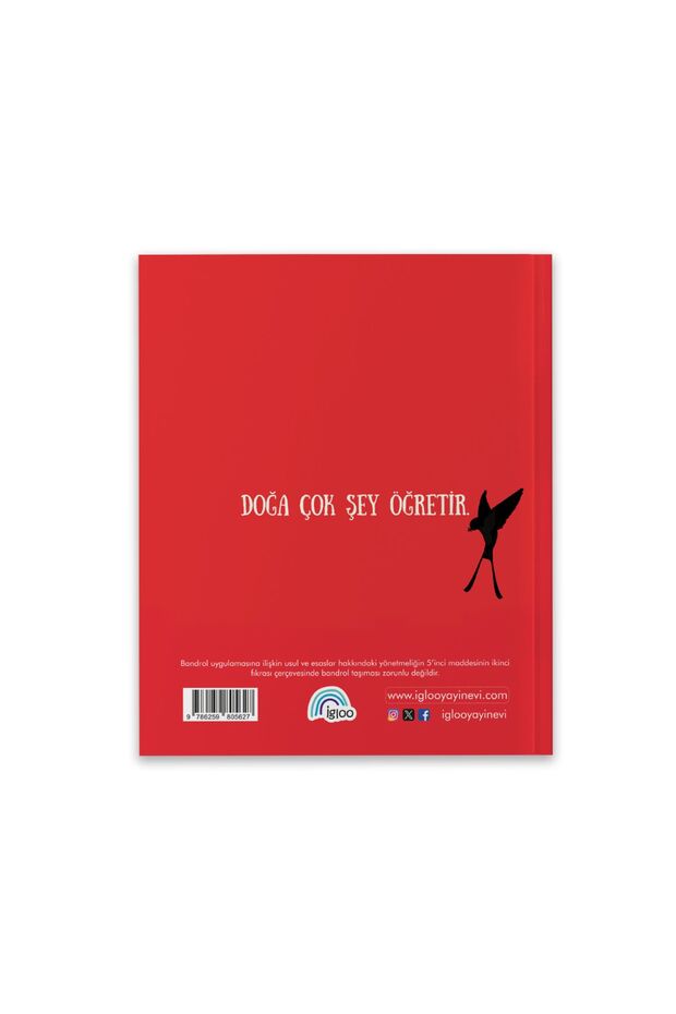 KIRLANGIÇTAN ÖĞRENDİKLERİM - 3