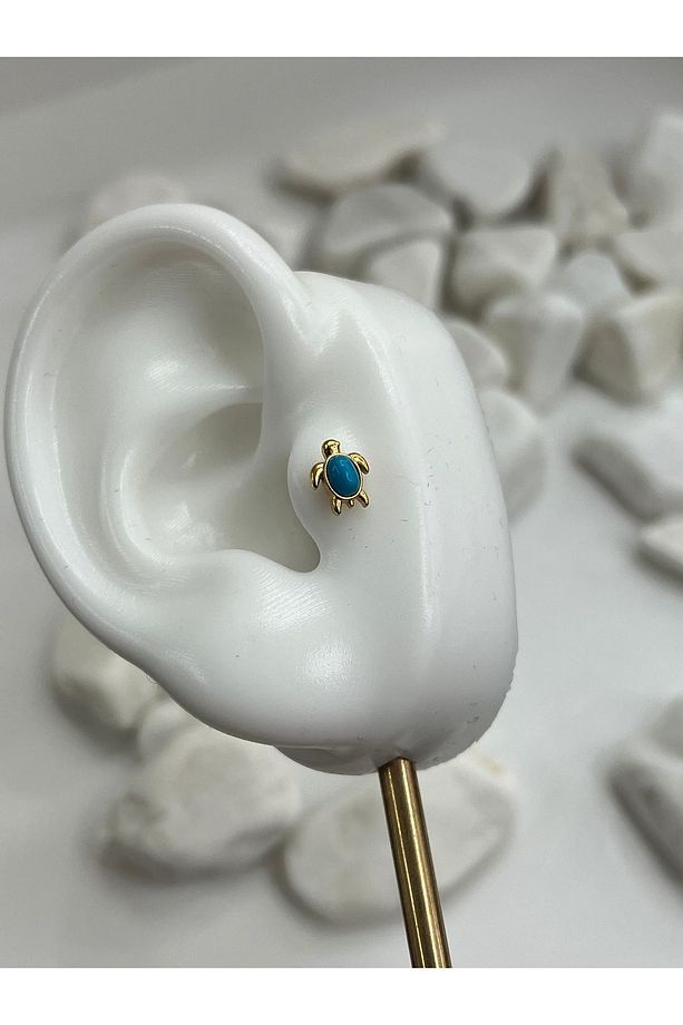 Kaplumbağa Deniz Mavi Tragus Piercing Conch Kulak Memesi Dudak Flat Kıkırdak Forward Helix Piercing - 4