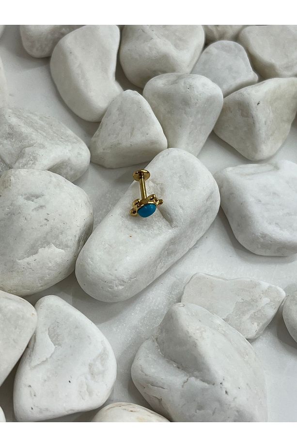 Kaplumbağa Deniz Mavi Tragus Piercing Conch Kulak Memesi Dudak Flat Kıkırdak Forward Helix Piercing - 6