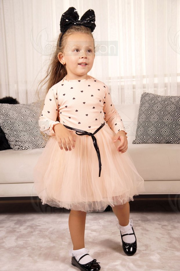 Baby Girl-Child Long Sleeve Heart Tulle Lined Dress for Birthdays and Special Occasions