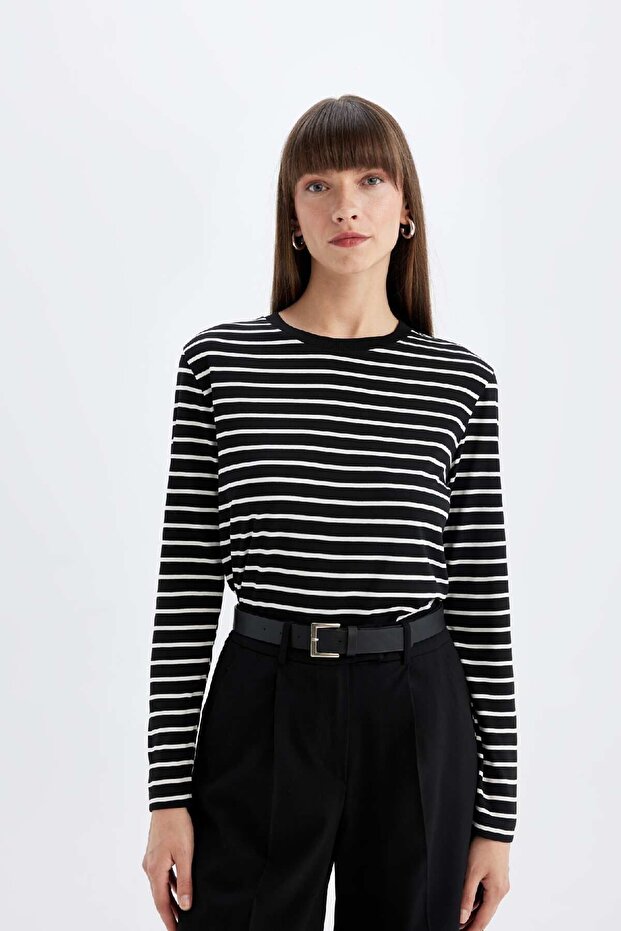 Regular Fit Crew Neck Striped Casual Long Sleeve T-Shirt A9254Ax24Au