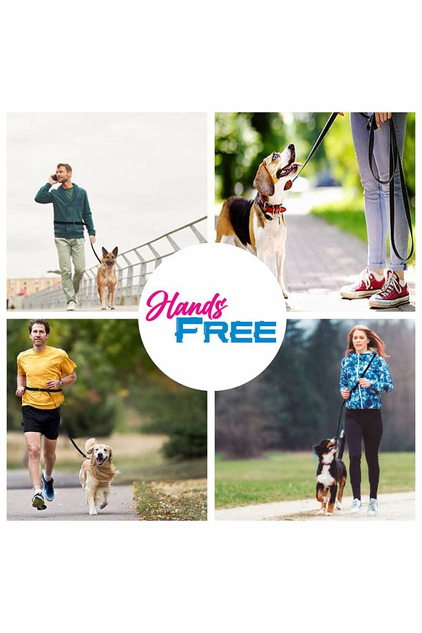 Eller Serbest Gezdirme Kayışı Hands Free Leash Gezdirme Tasması - 4