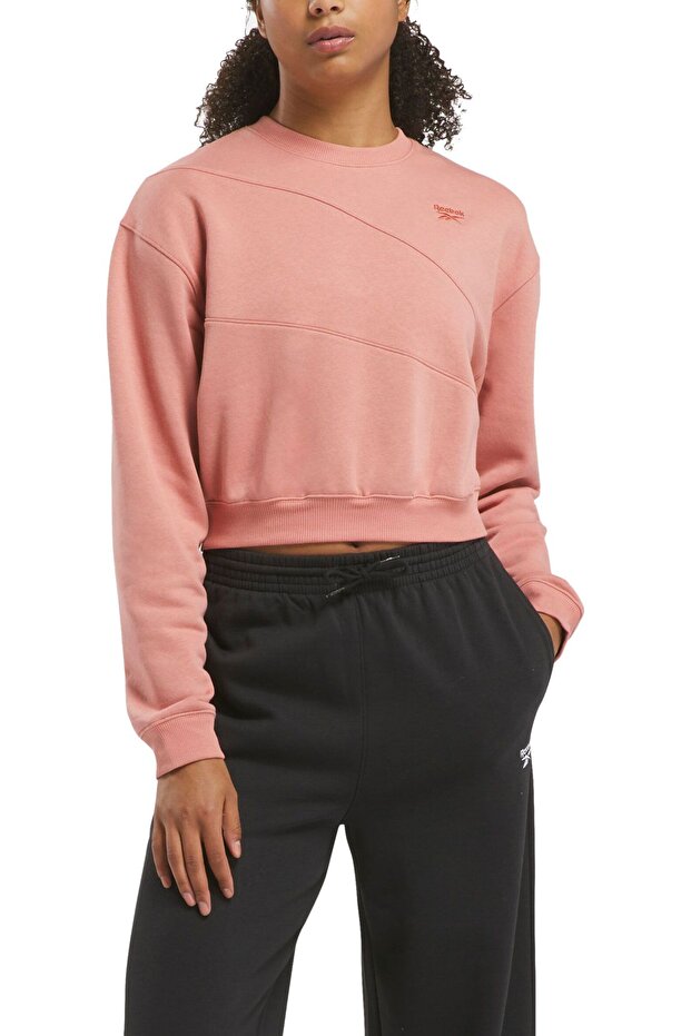AE VECTOR LAYER Pembe Kadın Sweatshirt - 1