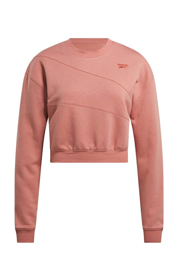 AE VECTOR LAYER Pembe Kadın Sweatshirt - 3