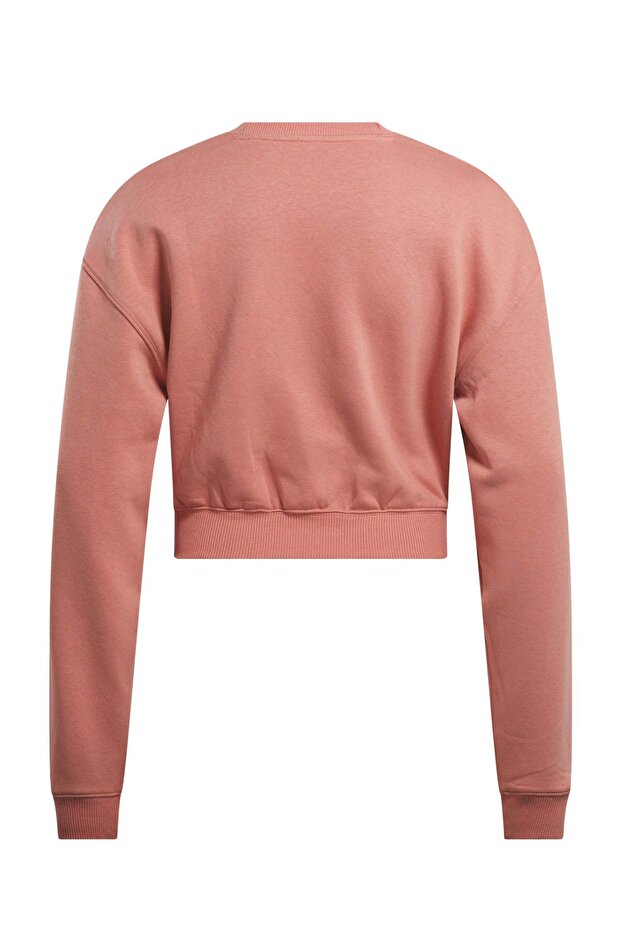 AE VECTOR LAYER Pembe Kadın Sweatshirt - 4