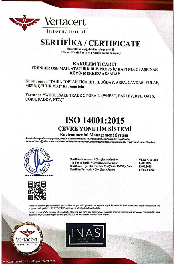 SERTİFİKALI Diyet Unları Yulaf Pirinç Karabuğday Unu 250 GR 3 Çeşit - 3