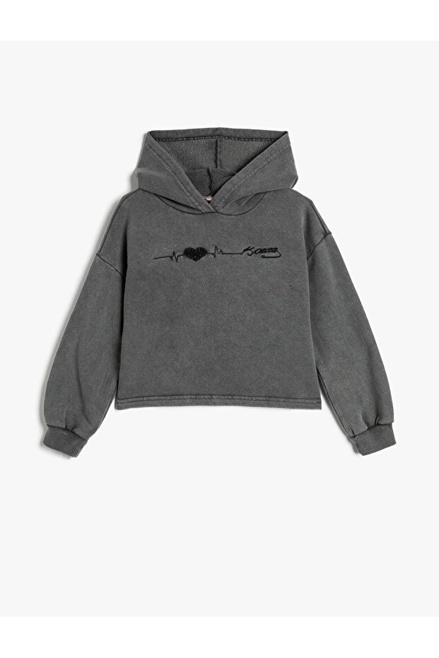 Republic Embroidered Hooded Sweatshirt Long Sleeve Raised Cotton