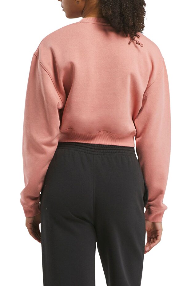 AE VECTOR LAYER Pembe Kadın Sweatshirt - 2