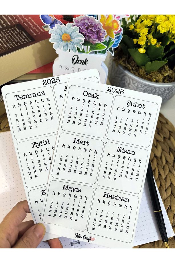 2025 Mini Şeffaf Sticker Takvim Seti / Ajanda Takvim Etiket Seti 2025 - 3