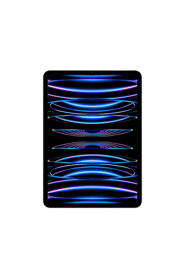4.Nesil iPad Pro 11" (M2 Çip) WIFI+Cellular 2TB Tablet Gümüş MNYM3TU/A - 1