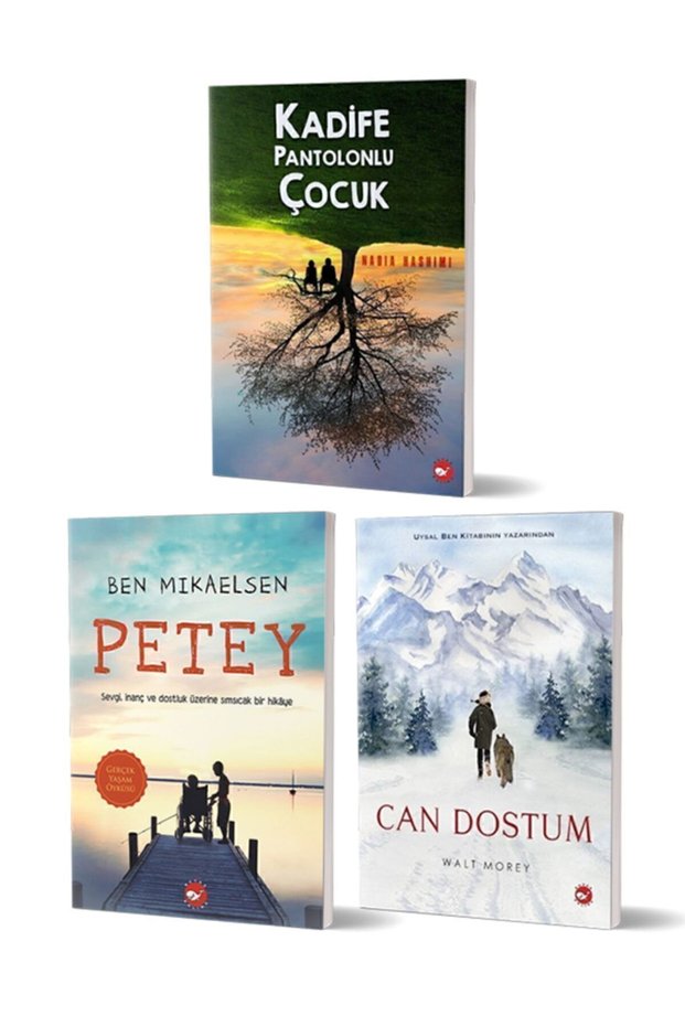 7. Classroom Children's Literature Reading Set 1 - (3 Books) (with Critical Reading Book Appendix)