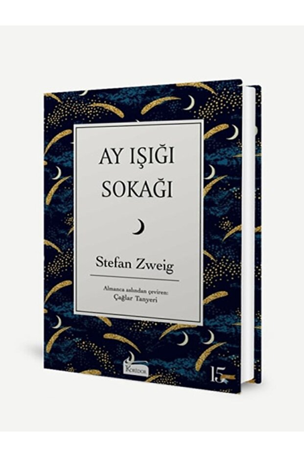 36 - Ay Işığı Sokağı / Bez Ciltli Dünya Klasikleri