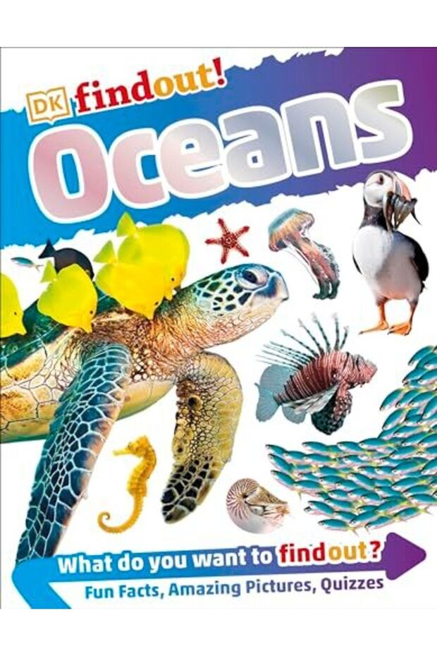 Dkfindout Oceans