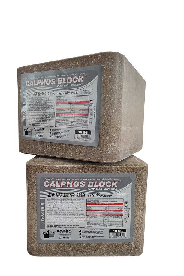 ROYAL CALPHOS BLOCK 10KG YALAMA TAŞI (2 ADET) - 2