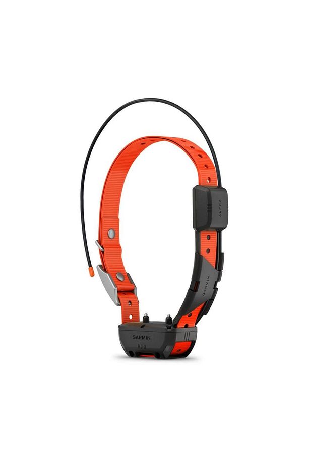 Alpha Tt 25 - Köpek Tasması - 2