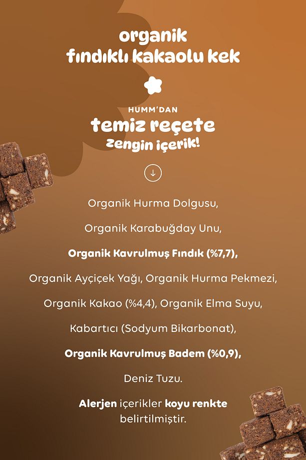 Organik Glutensiz Vegan Kakaolu ve Fındıklı Kek Atıştırmalık Paketi - 3 adet - 5