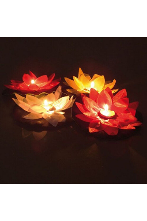 فانوس الماء - 3