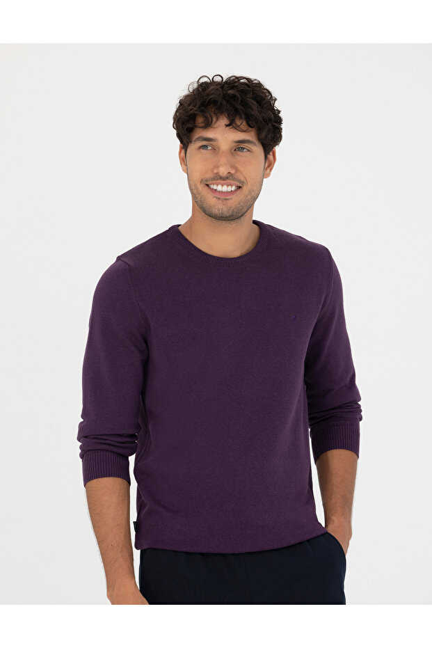 Purple Slim Fit Crew Neck Basic Knitwear Sweater 50270179 -Vr038