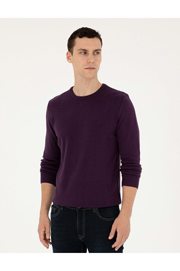 Purple Slim Fit Crew Neck Basic Sweater 50296575-Vr038
