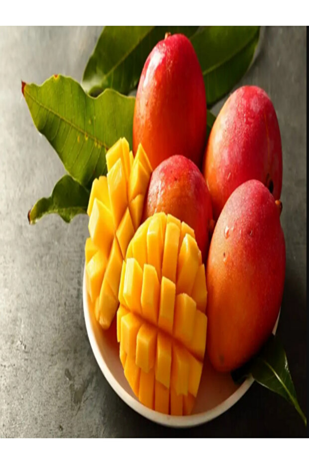 MANGO Alanya Mangosu - 1